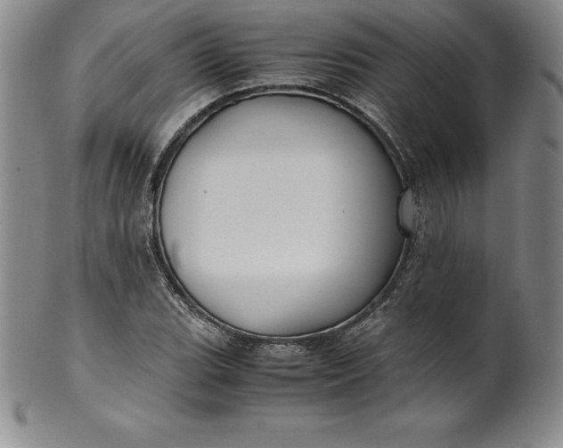 X0000100491119200806271230