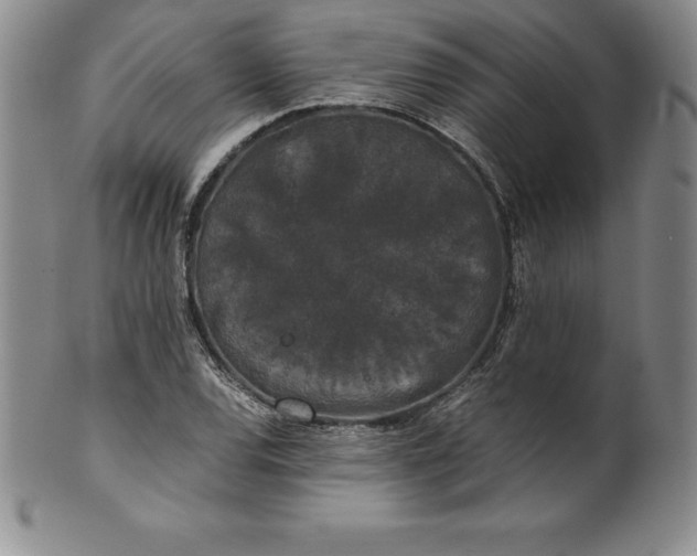 X0000100491120200806271230