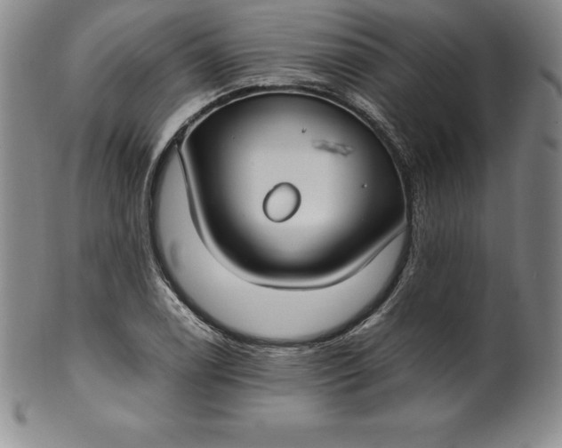 X0000100491122200806271230