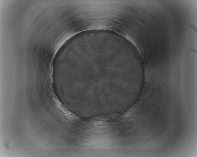 X0000100491124200806271230