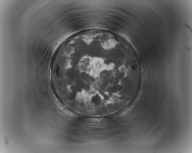 X0000100491125200806271230