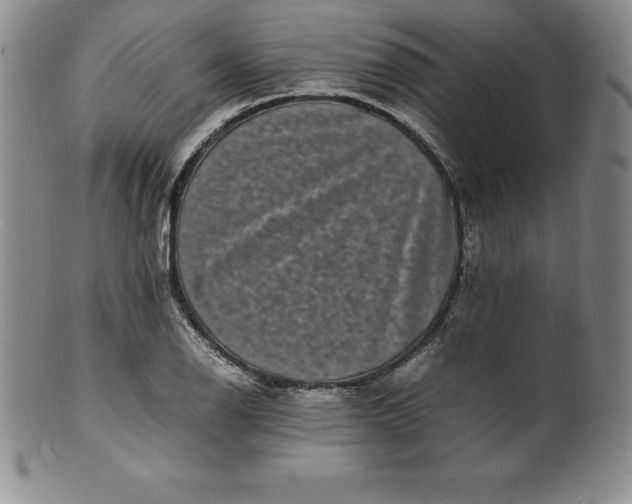 X0000100491126200806271230