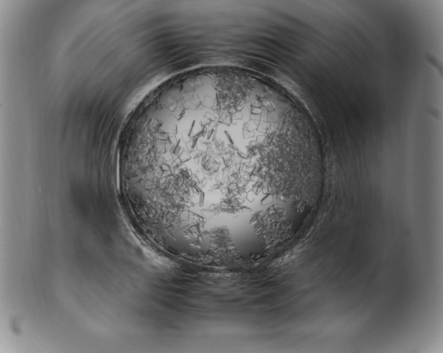 X0000100491127200806271230