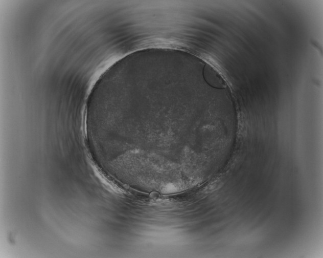 X0000100491128200806271230