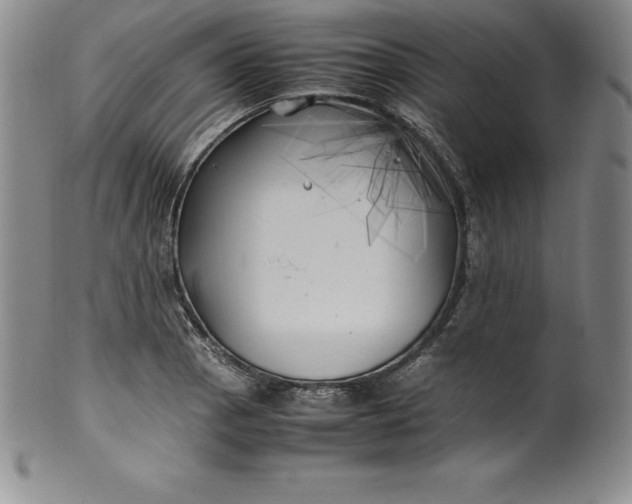 X0000100491129200806271230