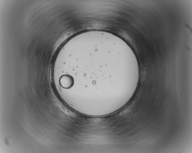 X0000100491130200806271230