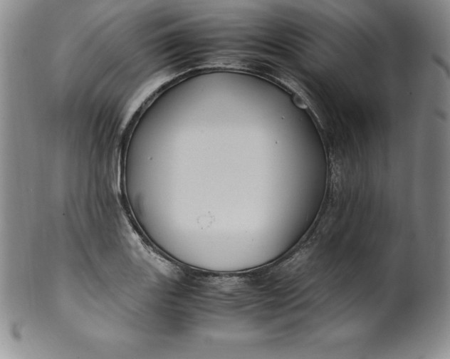 X0000100491131200806271230