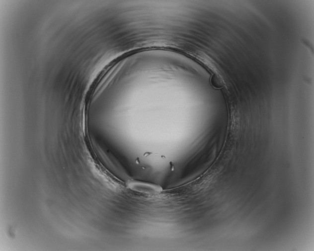 X0000100491132200806271230