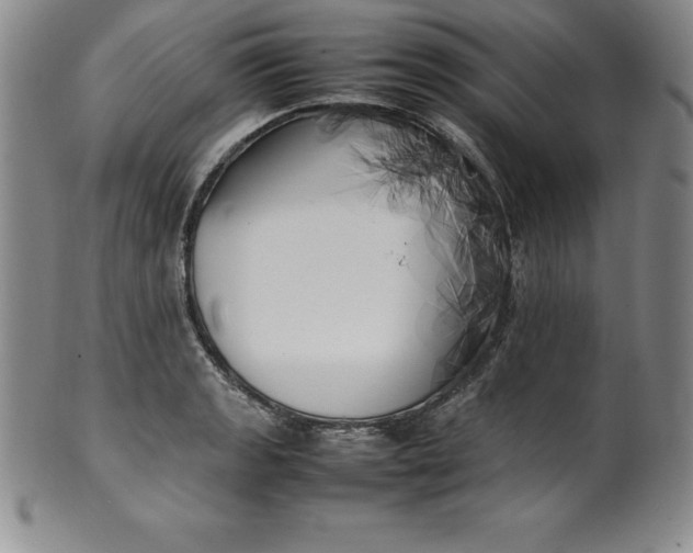 X0000100491133200806271230