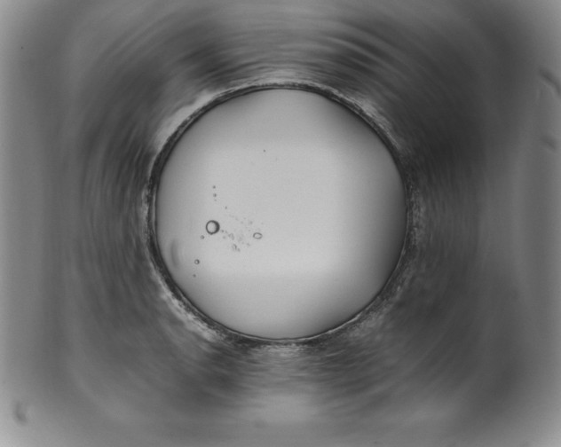 X0000100491134200806271230