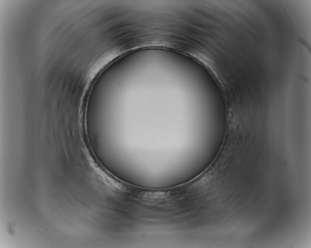 X0000100491135200806271230