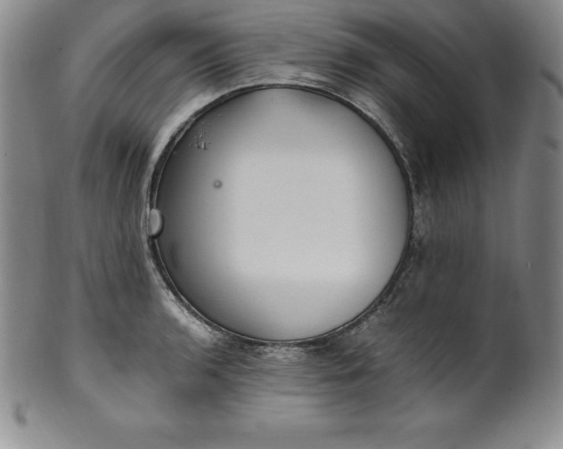 X0000100491136200806271231