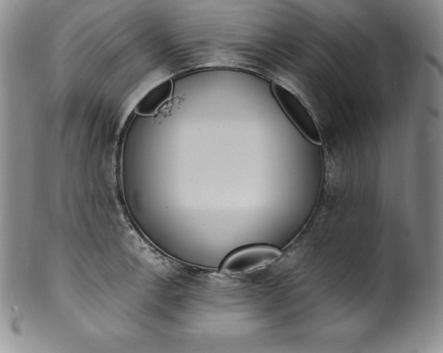 X0000100491138200806271231