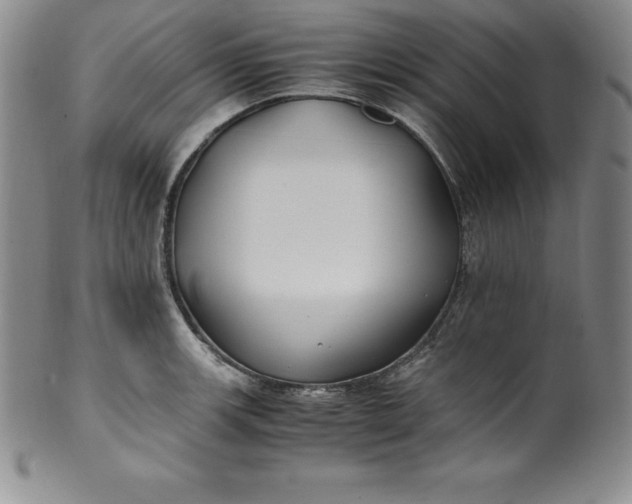 X0000100491139200806271231