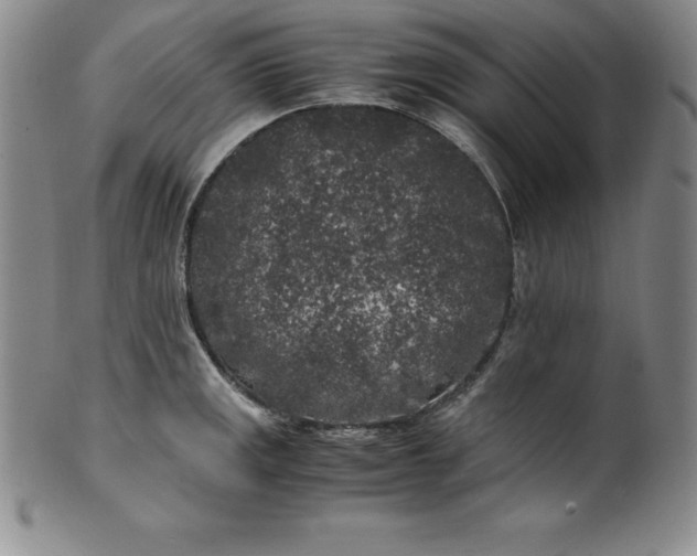 X0000100491141200806271231