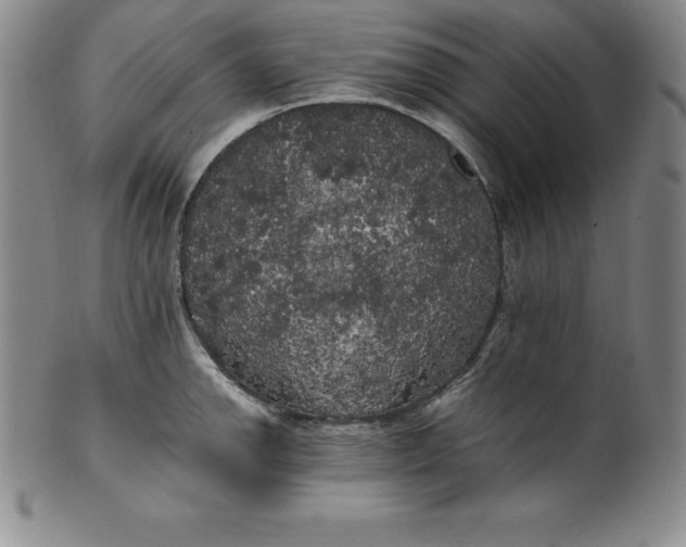 X0000100491142200806271231