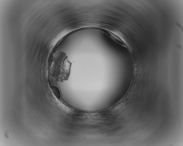 X0000100491143200806271231