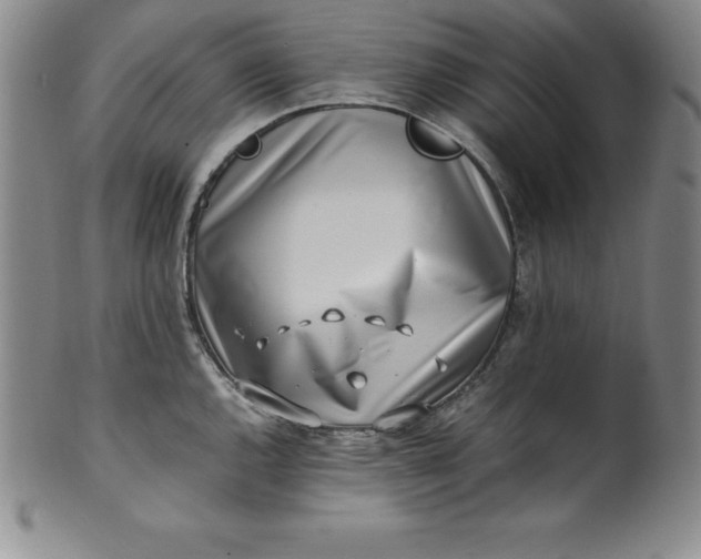 X0000100491144200806271231