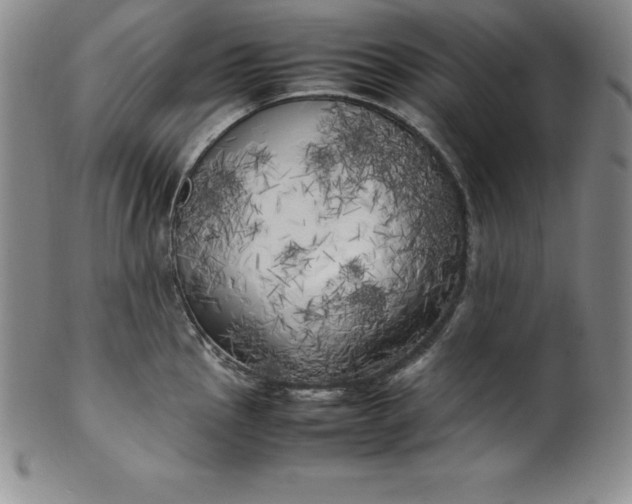 X0000100491145200806271231