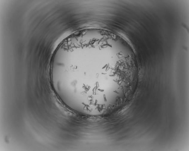 X0000100491146200806271231