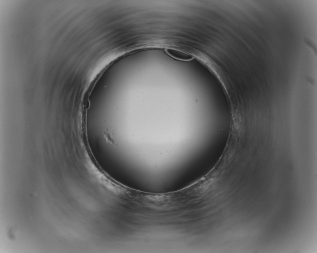 X0000100491147200806271231