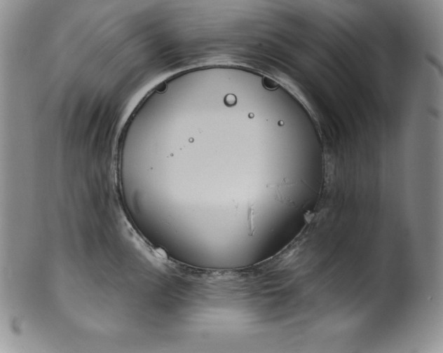 X0000100491148200806271231