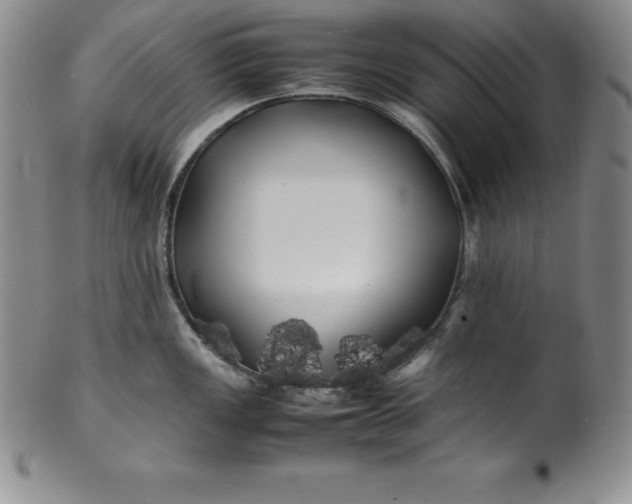 X0000100491149200806271231