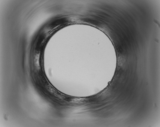 X0000100491150200806271231