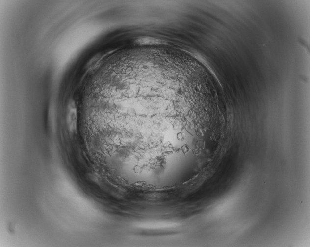 X0000100491151200806271231