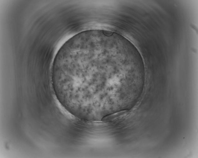 X0000100491152200806271231