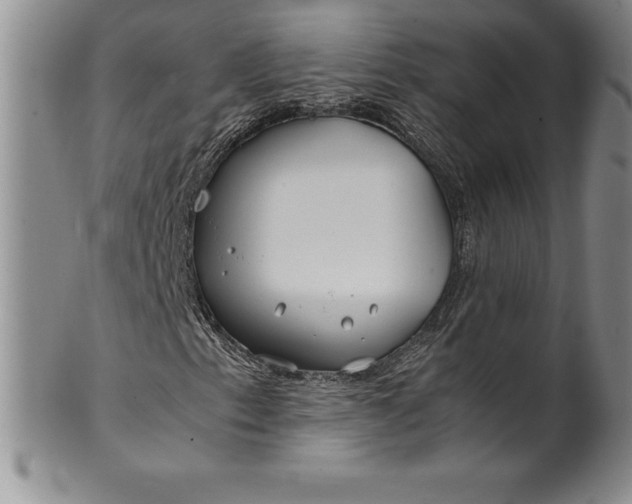 X0000100491153200806271230