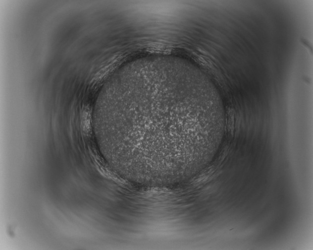 X0000100491154200806271230