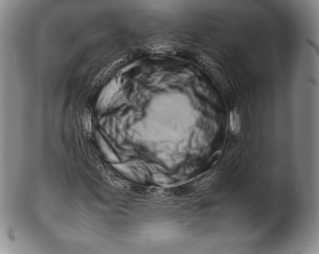 X0000100491155200806271230