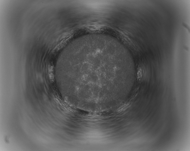 X0000100491156200806271230