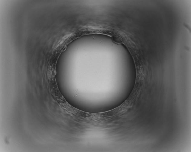 X0000100491157200806271230