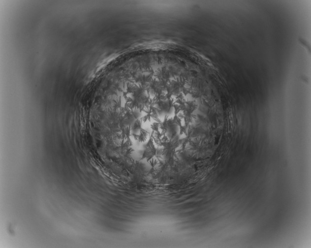 X0000100491158200806271230