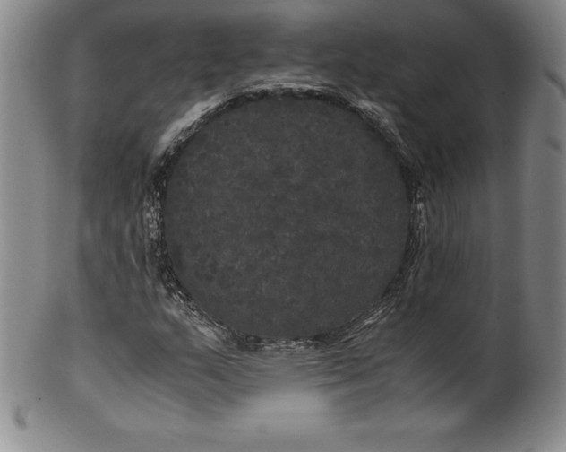 X0000100491159200806271230