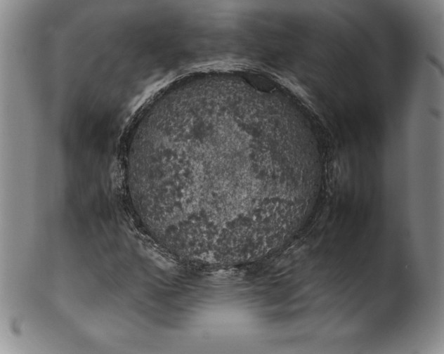 X0000100491160200806271230