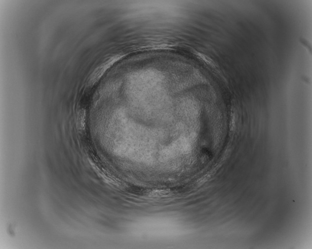 X0000100491161200806271230