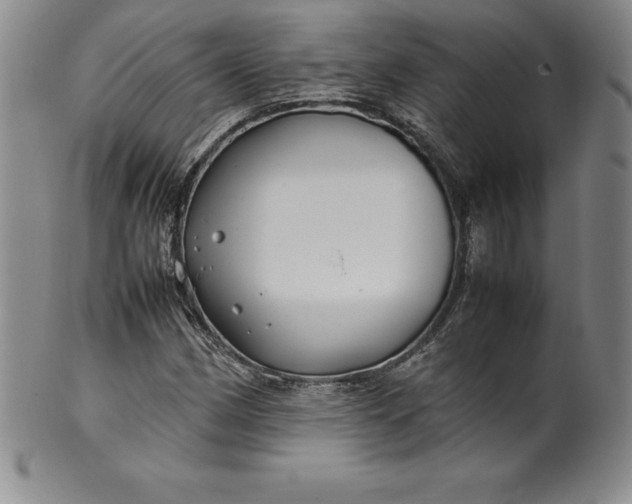 X0000100491162200806271230