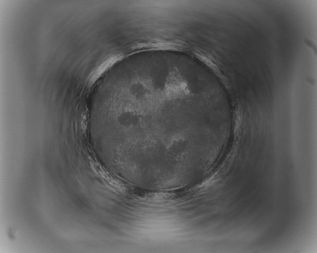 X0000100491163200806271230