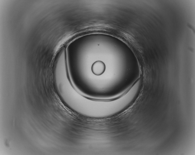 X0000100491164200806271230