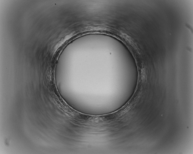 X0000100491165200806271230