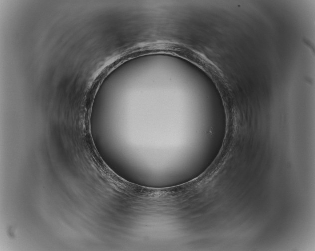 X0000100491166200806271230