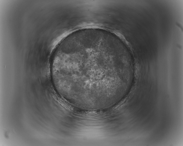 X0000100491167200806271230