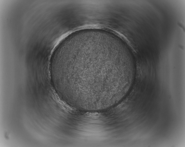 X0000100491168200806271230