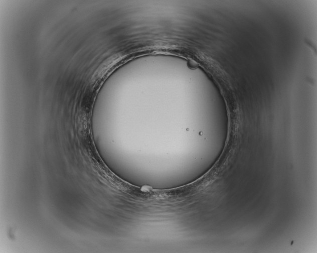 X0000100491169200806271230