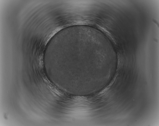 X0000100491170200806271230