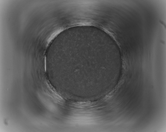 X0000100491171200806271230