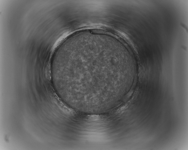 X0000100491172200806271230